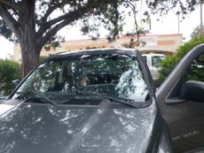 New Car Windshield in Minneapolis, step 4: Clean & Present to Customer