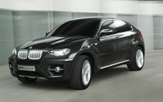 BMW X6 Windshield Replacement