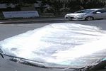 1993 Nissan Sentra 2 Door Sedan Windshield