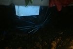 1995 Subaru Legacy 4 Door Station Wagon Windshield