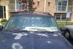 1996 Jeep Cherokee 4 Door Utility Windshield