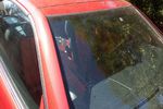 1999 Mercedes Benz SLK230 Windshield