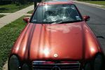 2000 Mercedes Benz CLK320 2 Door Coupe Windshield