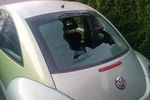 2003 Volkswagen Beetle 2 Door Sedan Back Glass   Heated