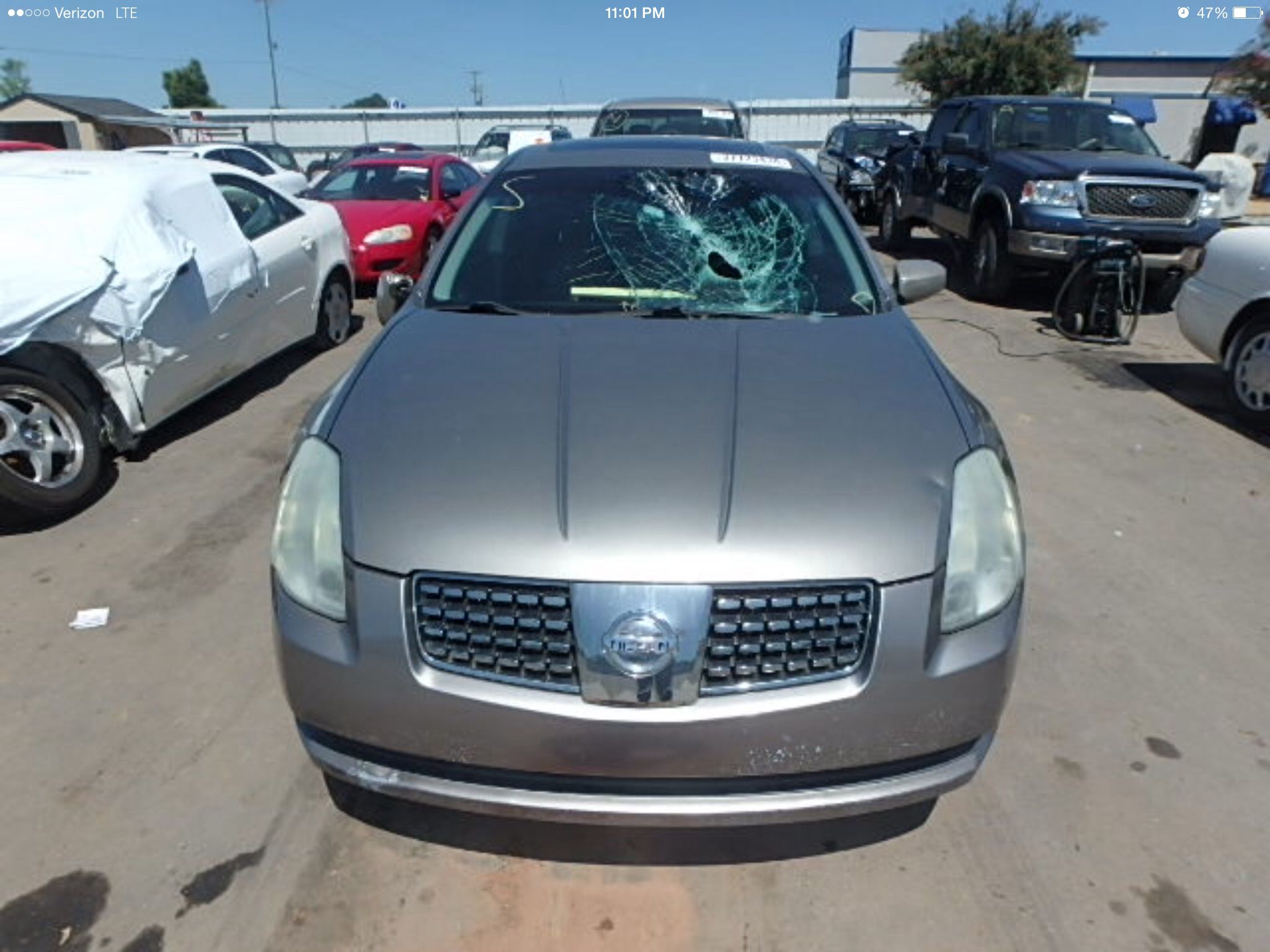 Nissan maxima windshield replacement cost #9