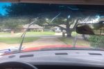 2005 Dodge 1500 Pickup 2 Door Standard Cab Windshield