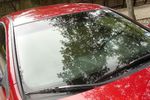 2006 Honda Accord 2 Door Coupe Windshield