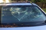 2008 Hyundai Entourage Windshield