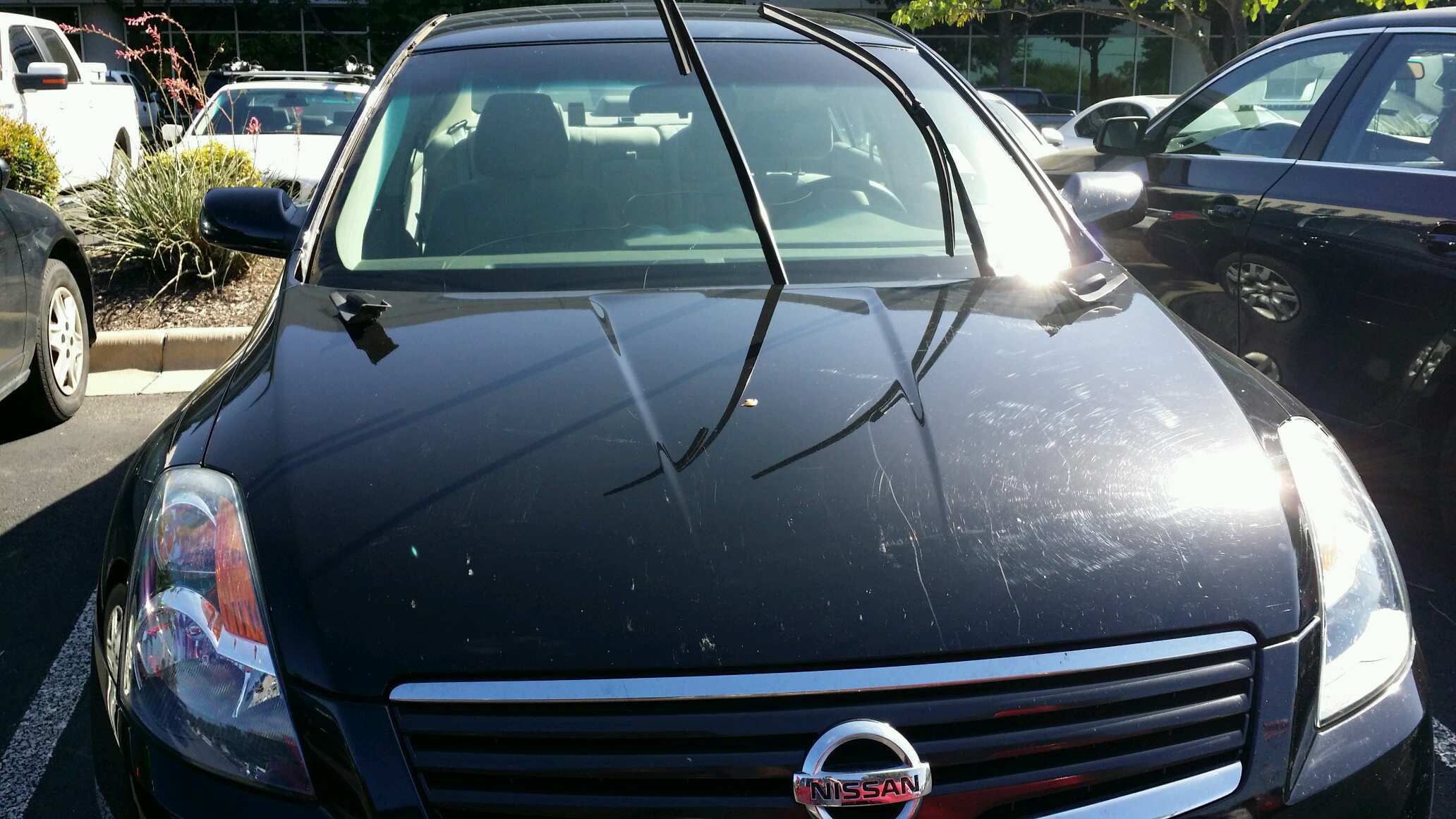 Nissan windshields replacement #2