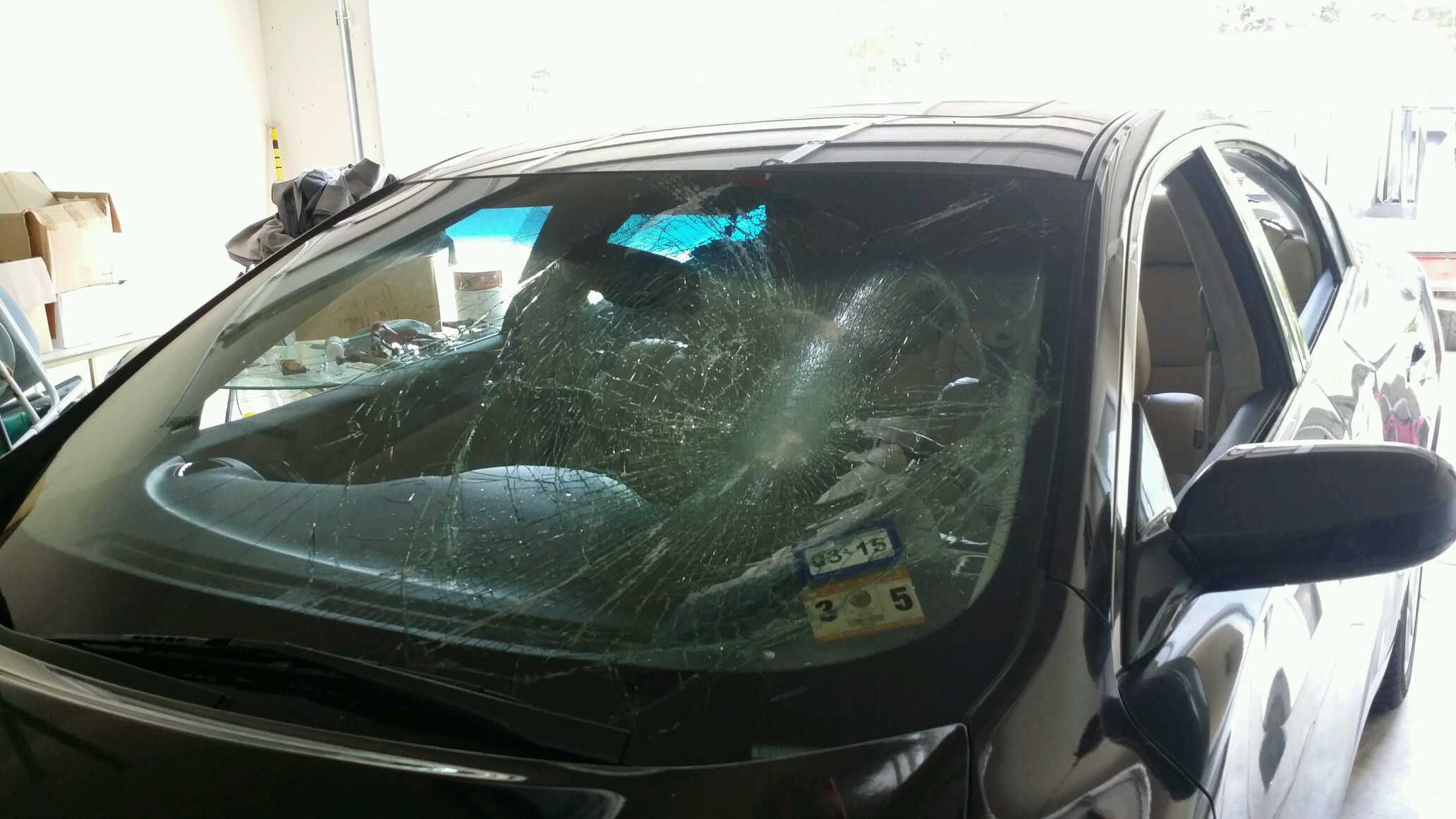 Nissan windshields replacement