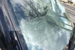 2012 Suzuki SX4 4 Door Hatchback Windshield