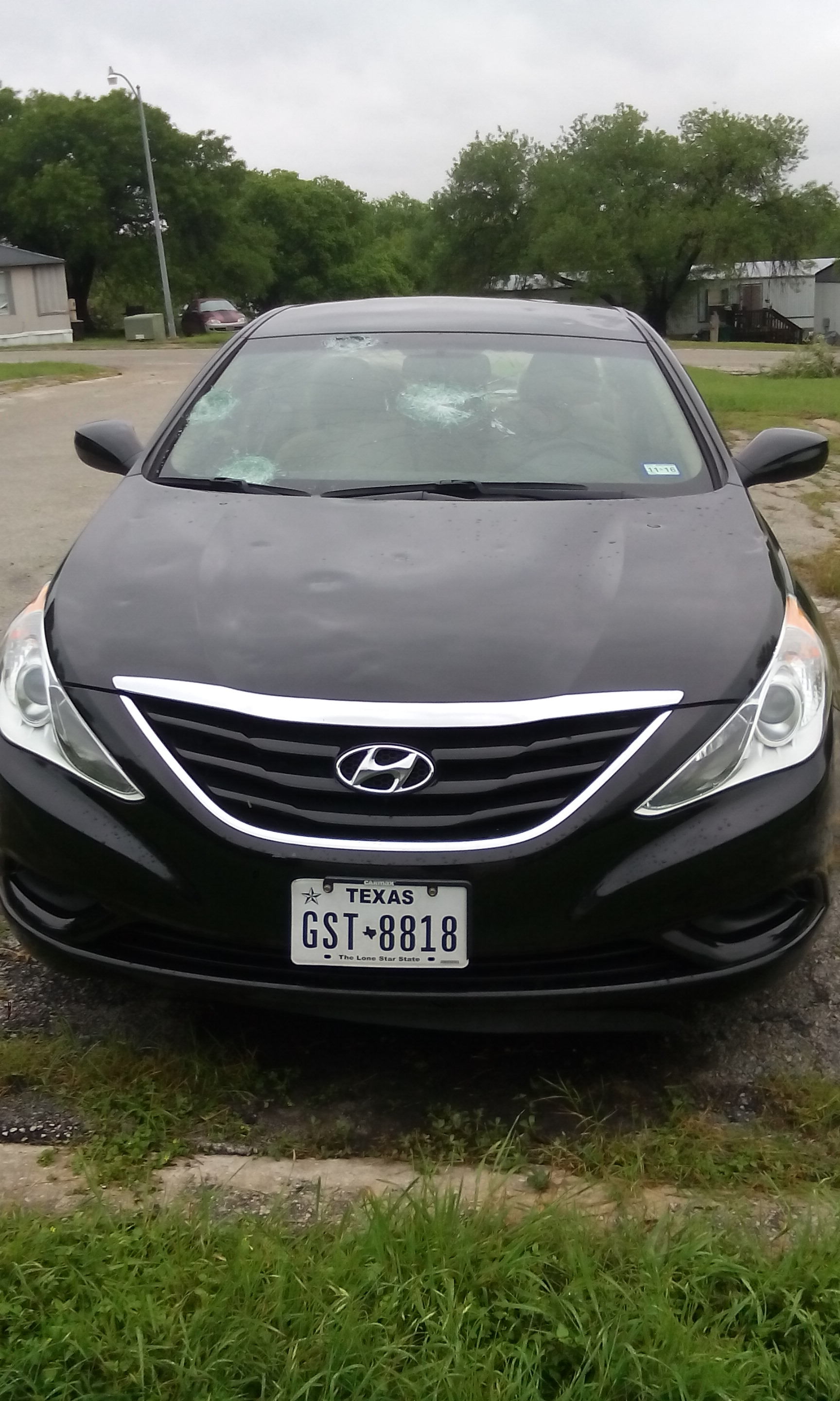 Windshield Replacement or Repair  Get Local Hyundai Auto Glass 